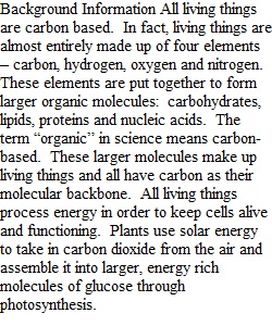 Carbon Cycle Activity